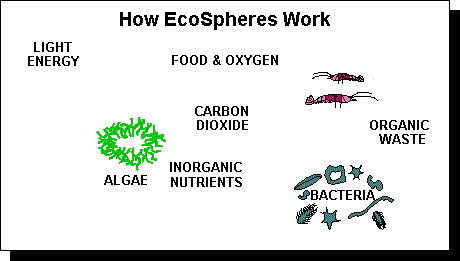 Animated diagram of EcoSphere life processes cycle.