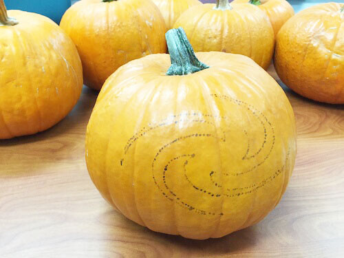 a photo of a pumpkin with a rough outline of a galaxy shape
