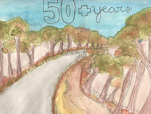 User submitted drawing of a tree lined road.