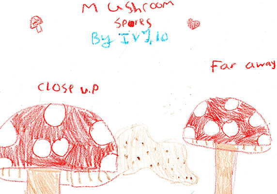 Illustration of two mushrooms, one close up and one far away. Near the close up mushroom, there are spores coming from the mushroom. Text reads close up and far away.