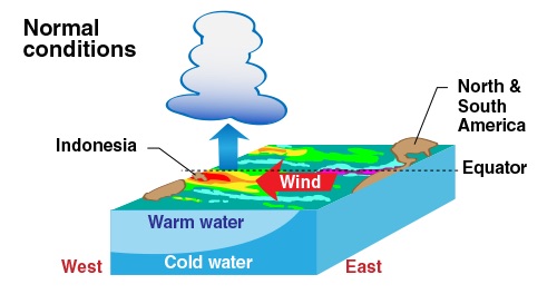 cartoon of normal winds, weather, and cloud formation in the Pacific Ocean