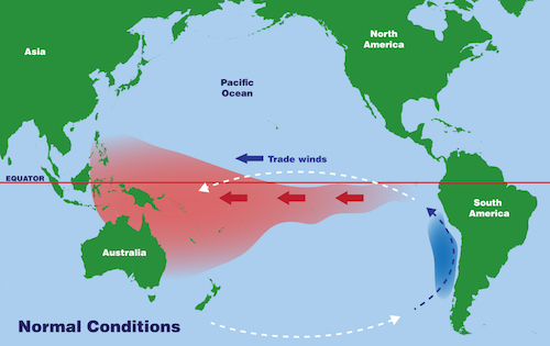 an illustrated map of the water movement in the Pacific Ocean under normal conditions