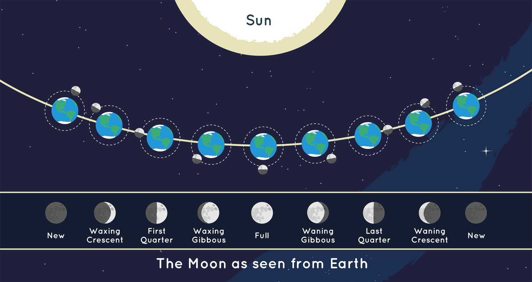 The position of the Moon and the Sun during Each of the Moon’s phases and the Moon as it appears from Earth during each phase.