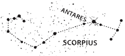 Drawing of constellation Scorpius.