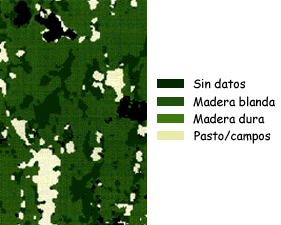 Landsat Image