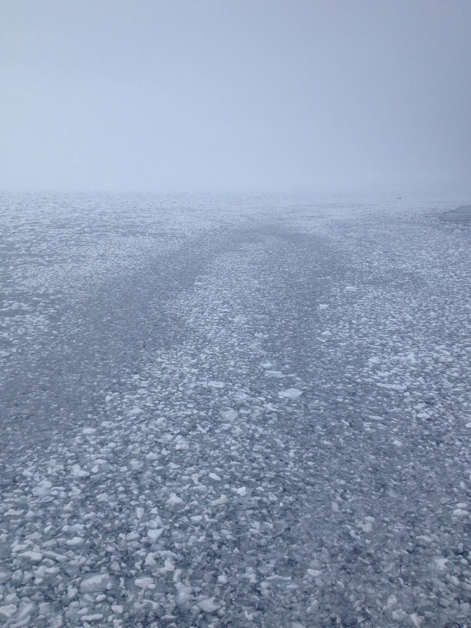 A photograph taken off the back of a boat looking at the sea. The water’s surface is filled with fragments of broken ice pieces. The icy water looks “crunchy” and fades into the horizon. The sky is one tone of gray and nearly blends in with the icy water.