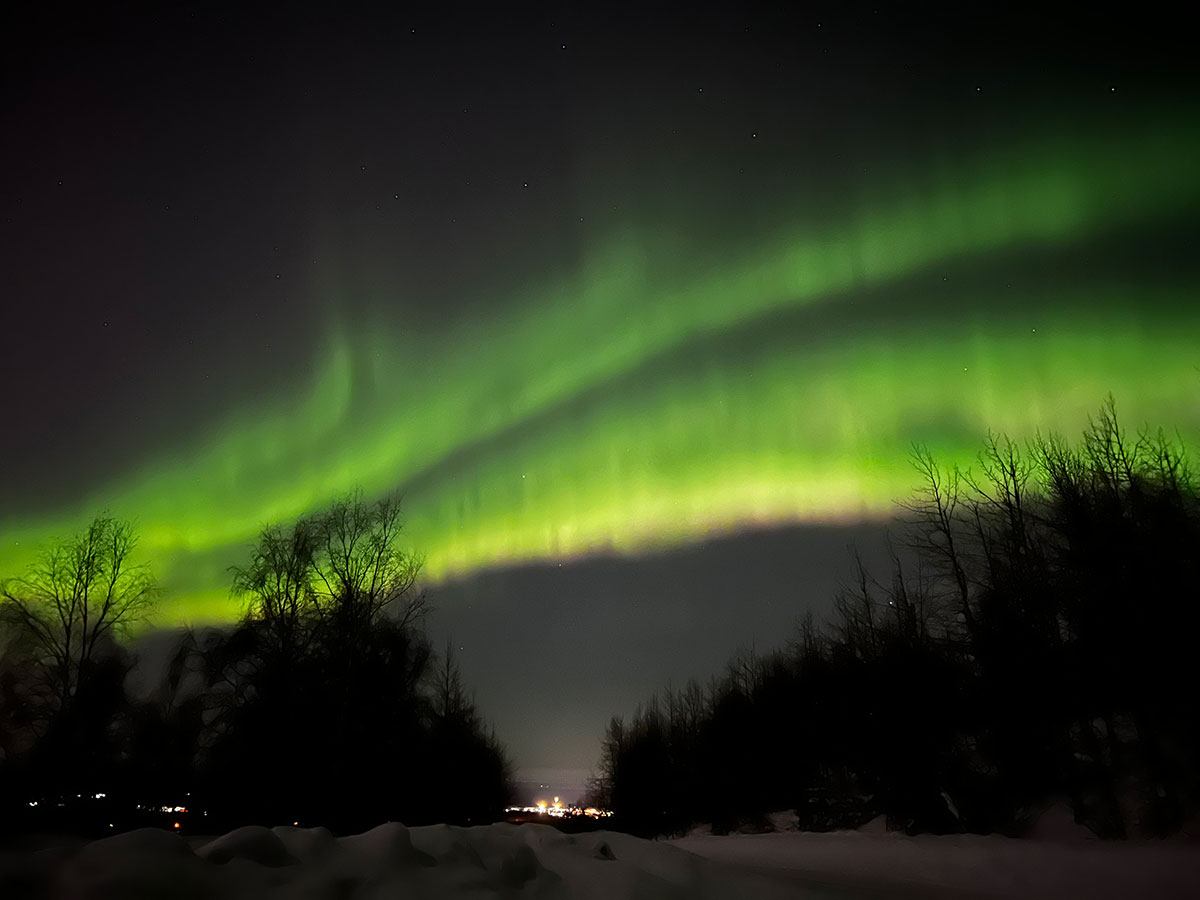 An image of green aurora lights dancing across the night sky. The lights appear as ribbon-like paint strokes of green, stretching from the left side to the right side of the image. The vibrant hues of green and yellow vary in intensity, from soft, fading pastels to deeper greens. The aurora is most vibrant at the bottom of the streak and fades as the lights extend upwards. In the foreground are the black silhouettes of bare trees. Lights from a neighboring town are seen in the distance.