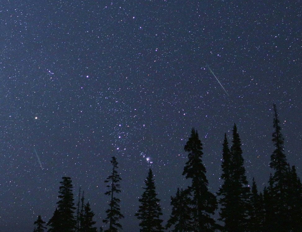 Photo of the constellation Orion framed by two Perseid meteors.