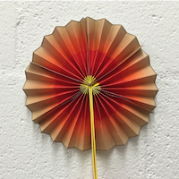 a photograph of a paper fan in colorful layers