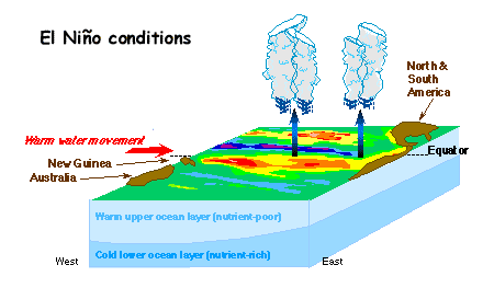 Diagram of El Nino ocean conditions