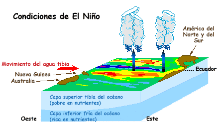 Diagrama de las condiciones de El Niño marino.