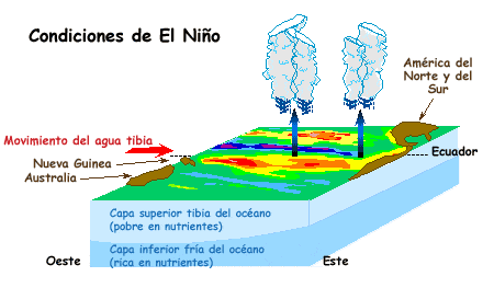 El fenómeno de El Niño ¿Qué es y cómo se produce? 