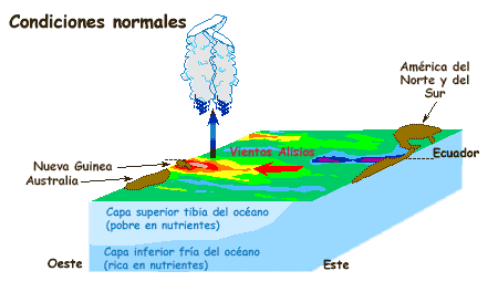 Diagrama de las condiciones normales de años océano.