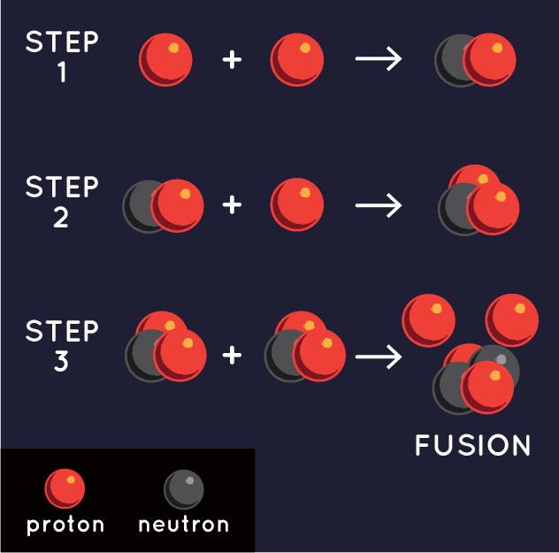 this diagram shows the mechanism of fusion: two protons combine and form a proton and neutron. That then combines with another proton. When two of those then combine, fusion occurs. 