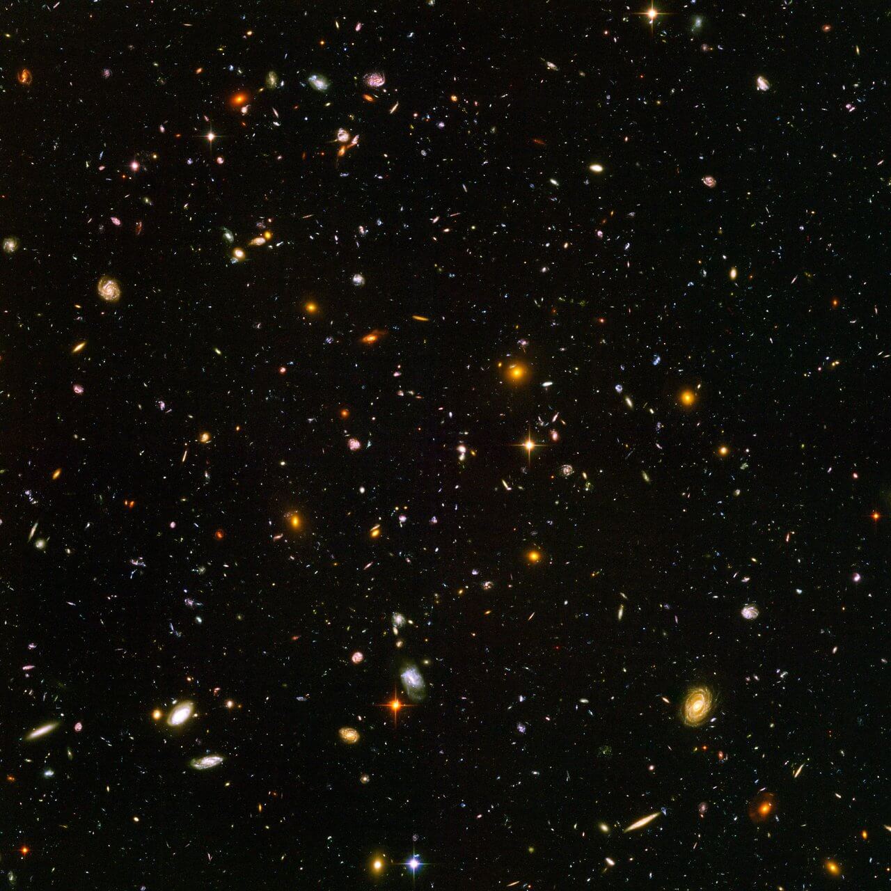 Crowded field of galaxies on black. Galaxies appear white, gold, and pale blue. They range in size and brightness, some with distinguishable spiral features or halos, others tiny pinpricks in the distance.