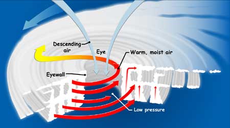 Tropical cyclone cross-section