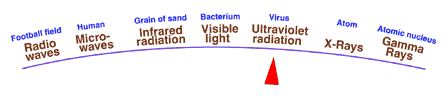 Ultraviolet waves are just above visible light on the energy meter.