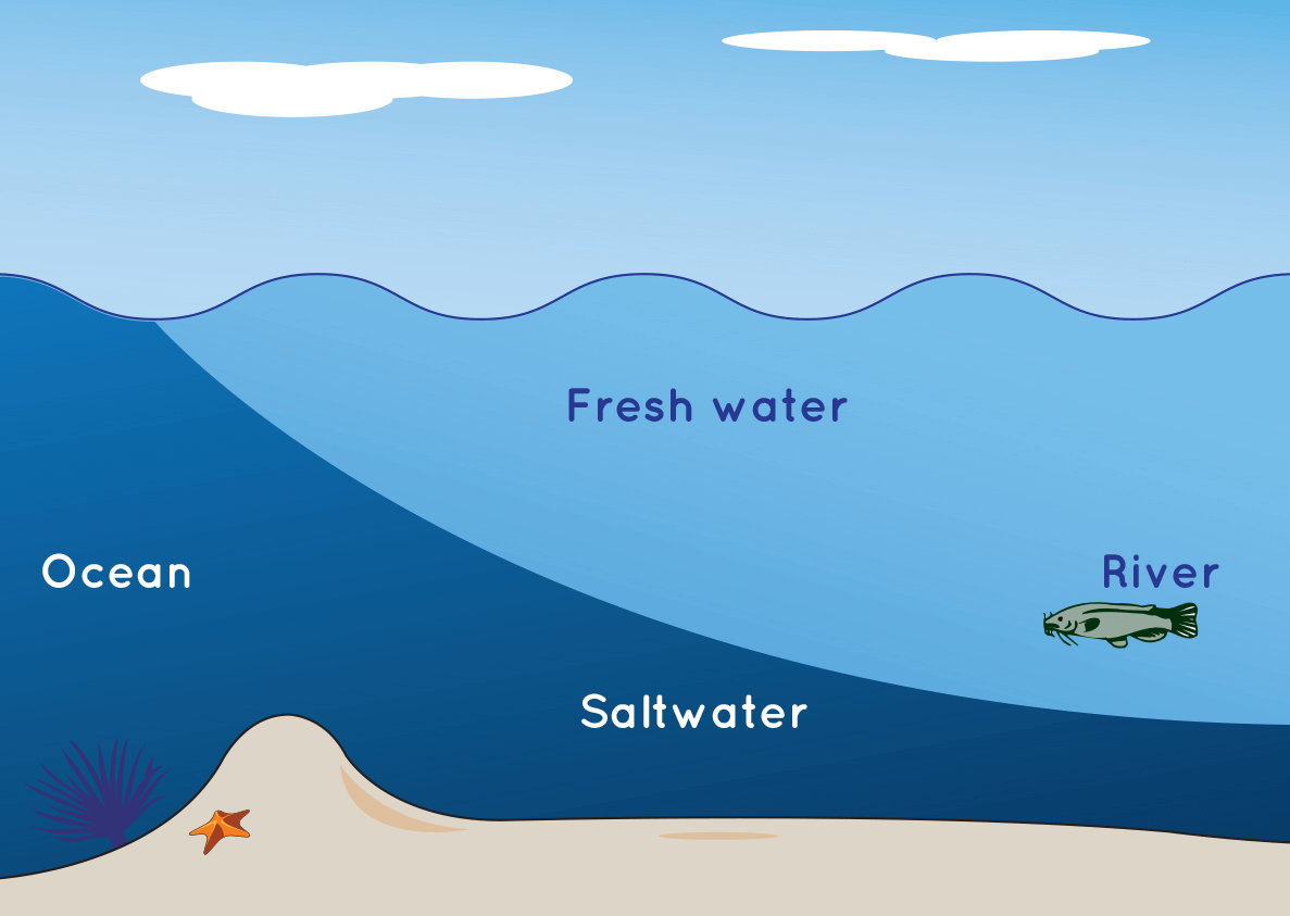 How To Explain Salt Water