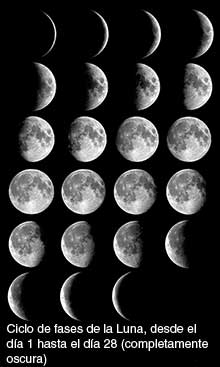 Montaje de fotografías de la Luna cada noche durante un ciclo de 28 días.