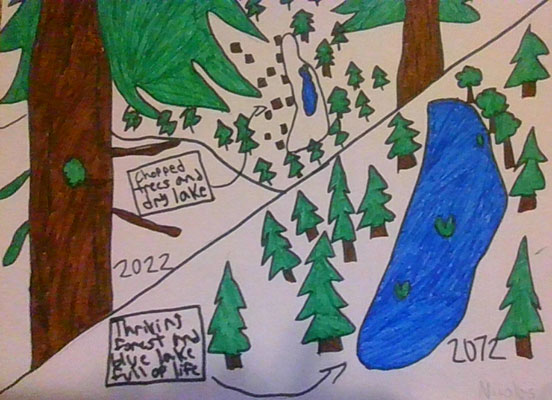 User submitted drawing of a low water level lake in a forest of stumps on the left and a high water level lake with many trees around it on the right.