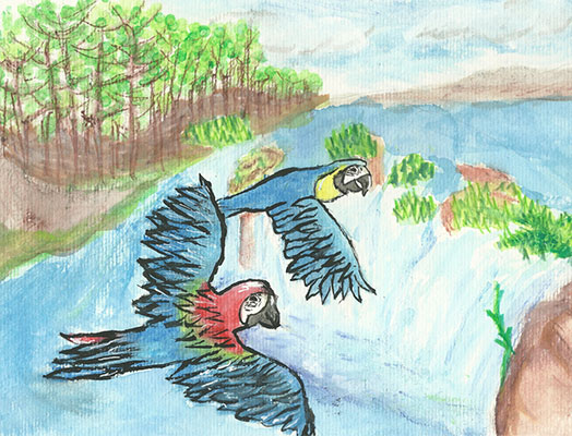 Drawing of two parrots flying over a forest.