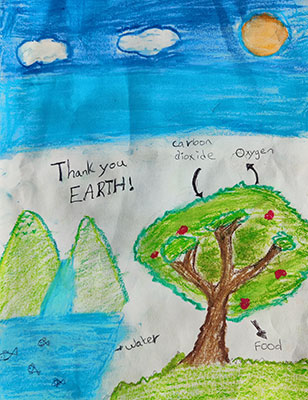 Drawing of a tree with an arrow representing carbon dioxide pointing toward it and an arrow representing oxygen pointing away from it.