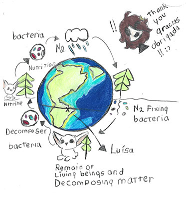 Illustration of Earth and various steps of the nitrogen cycle illustrated around it.