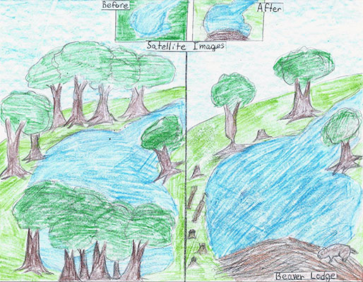Art submission for the NISAR Challenge.