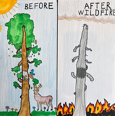 Art submission for the NISAR Challenge.