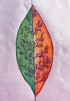 Art submission for the NISAR Challenge.