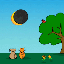 Animation of the Moon crossing the path of the Sun in the sky as a cat and dog watch from the ground.