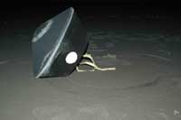 The real capsule lands safely on the ground.