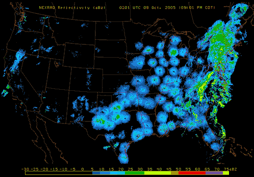 gif movie of weather radar data across the U.S. Birds appear as the sun sets from east to west.