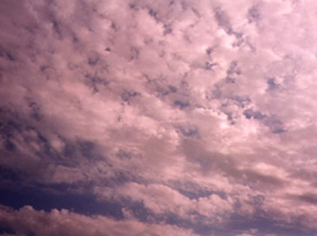 Altocumulus clouds.
