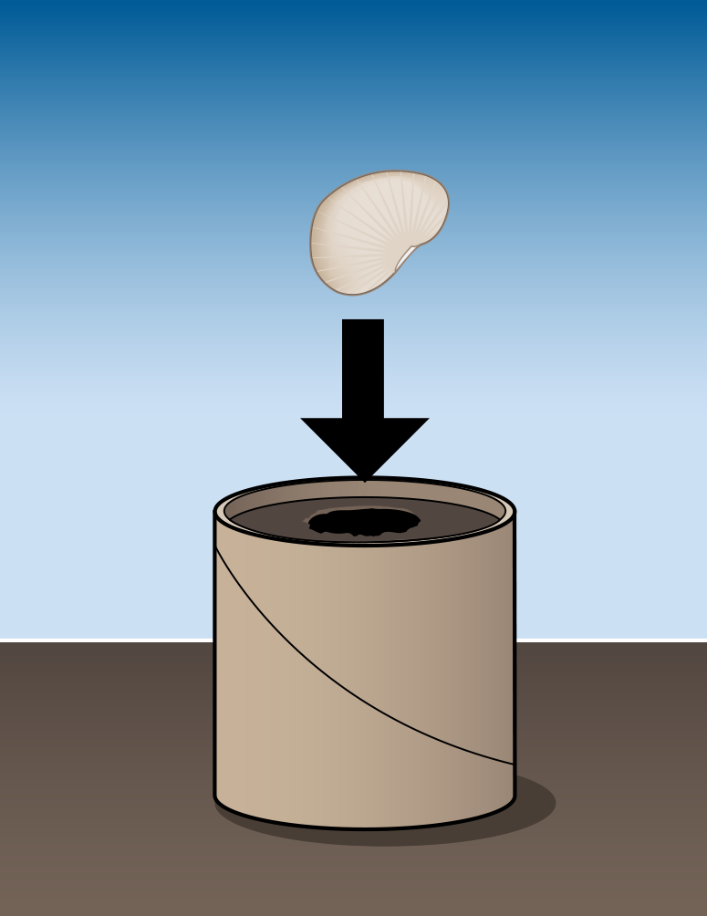 illustration of the above step