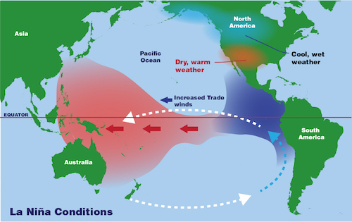 an illustrated map of the water movement in the Pacific Ocean under La Niña conditions