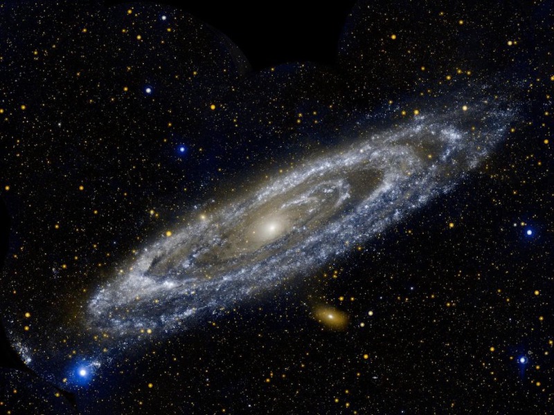 An image of the Andromeda galaxy, which appears as a blue and white swirling mass among hundreds more galaxies in the background.