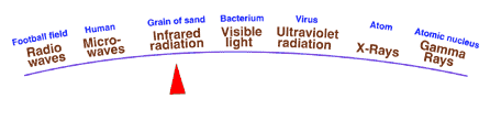 Infrared radiation is more energetic than microwaves.