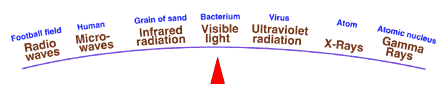 Visible light has just the right amount of energy for our eyes to detect them.