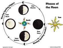 Photo of Moon phases activity sheet, with Oreo Moons placed at proper phases.