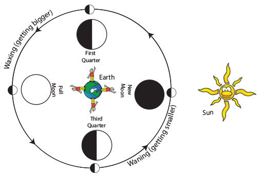 phases of the moon diagram to label