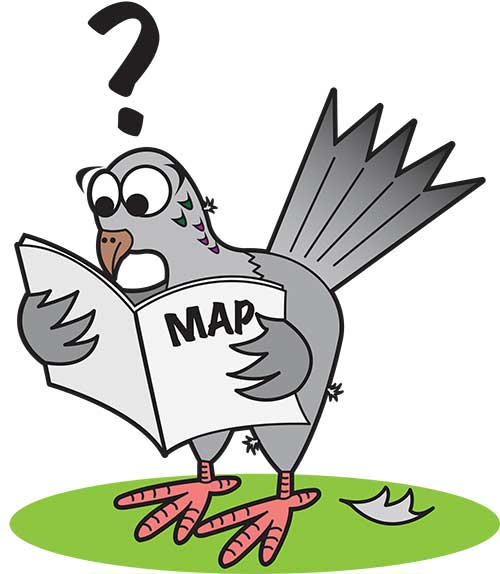 Bad (space) weather cancels pigeon races! | NASA Space Place – NASA Science  for Kids