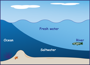 planets of science fair project