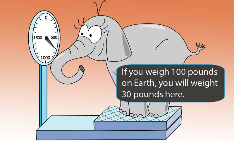 Cartoon elephant on scale.