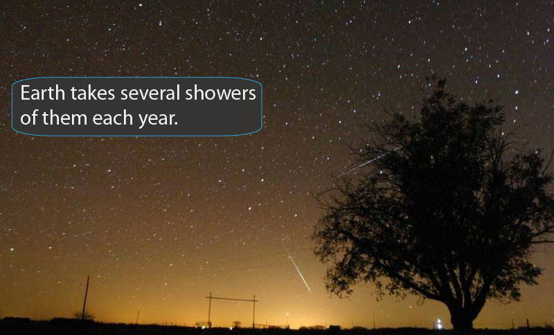 Starry night with a couple of these streaking across sky, tree silouetted in foreground. 