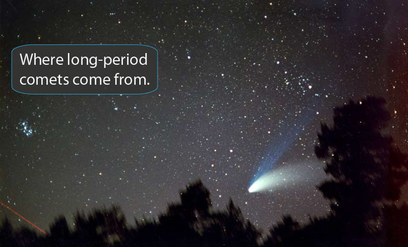 Photo of comet in the sky, silouetted trees in foreground.