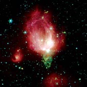 Nebulosa Capullo de Rosa, NGC 7129.