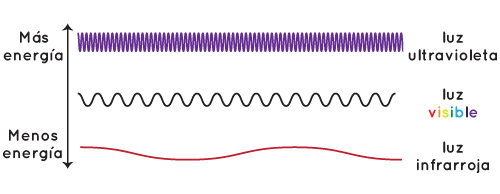 diagrama de tres tipos de ondas en el espectro electromagnético: luz ultravioleta, luz visible y luz infrarroja en orden decreciente de energía.