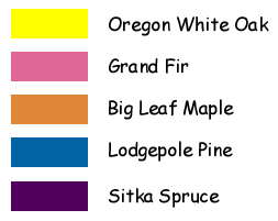 Legend:  yellow--Oregon white oak, pink--grand fir, orange--big leaf maple, blue--lodgepole pine, purple--sitka spruce