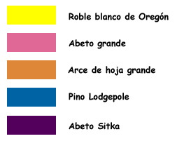 Leyenda: amarillo -  roble blanco do Oregon, rosa - abeto grande, de color naranja - rce de hoja grande, azul - pino, púrpura - Abeto Sitka